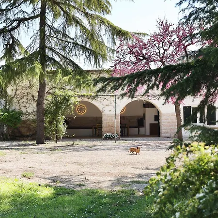 Apartment Torre Grande Andria